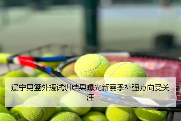 辽宁男篮外援试训结果曝光新赛季补强方向受关注